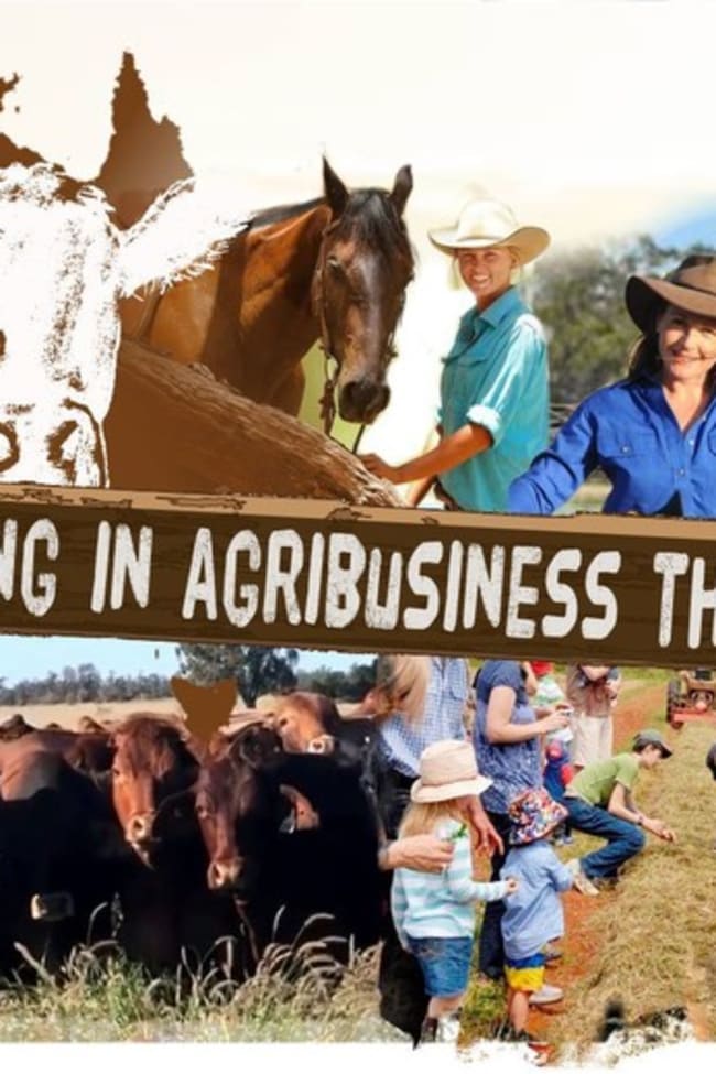 Bs147961 Bs147961 Mount Samson QLD 4520