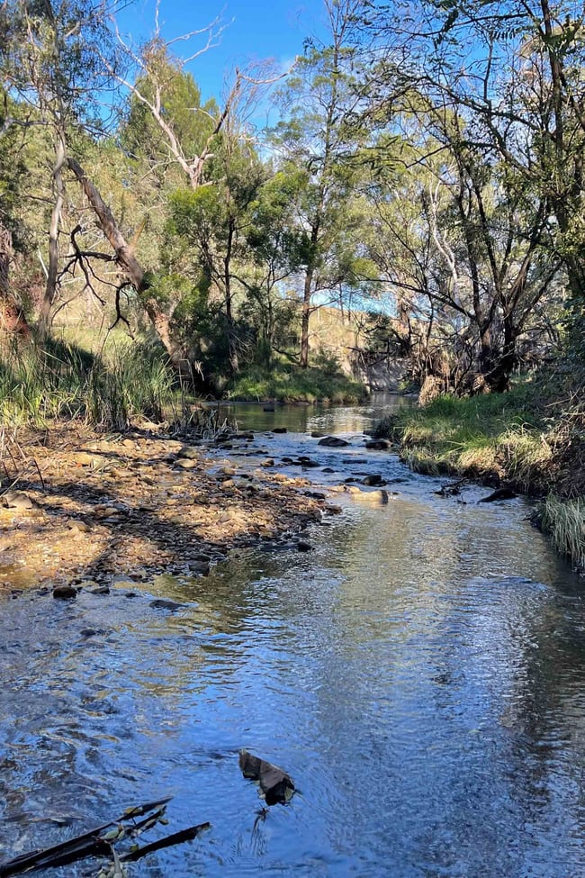 442 Covan Creek Road Lake Bathurst NSW 2580