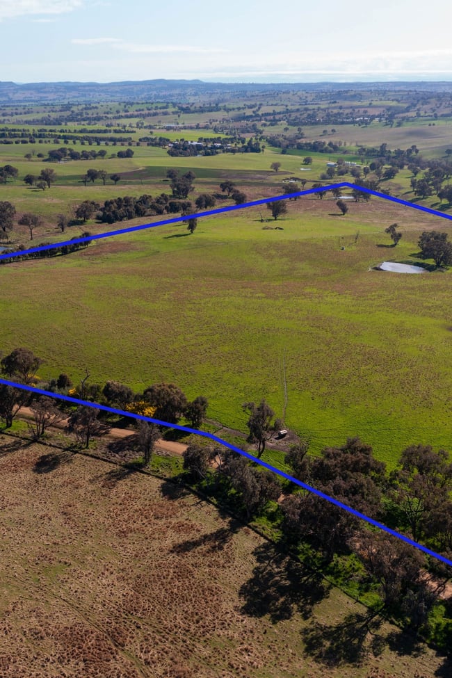 Lot 3 Milo Roads Murringo NSW 2586
