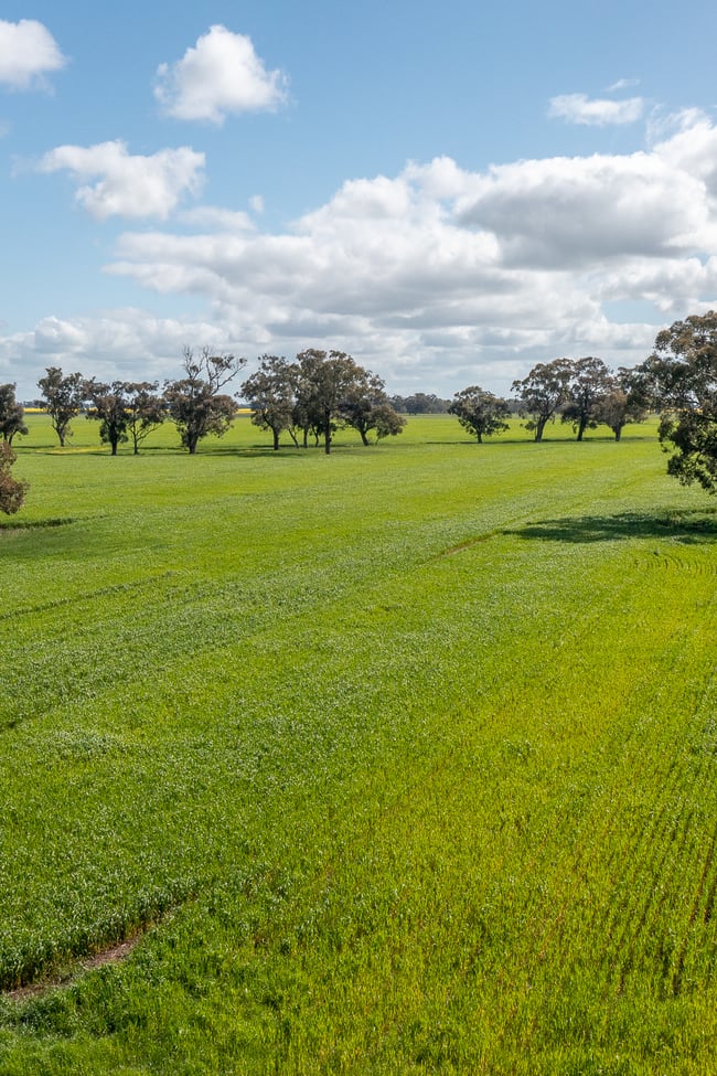 1 Humeden Road Collendina NSW 2646