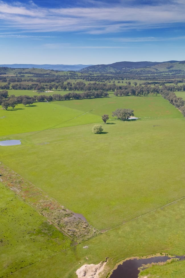 Lot 2 LP139833 Benalla-Warrenbayne Rd Baddaginnie VIC 3670