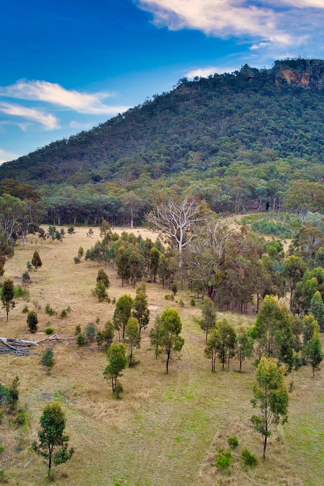 335 Upper Nile Road Glen Alice NSW 2849