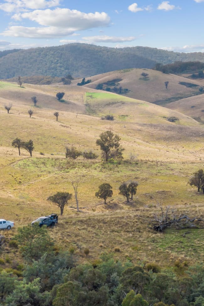 1013 Bigga Road Crooked Corner NSW 2583