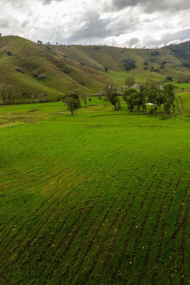 'Rockview' 400 Horse Creek Road Jingellic NSW 2642