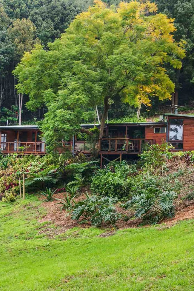 119 Arthur Road Corndale NSW 2480