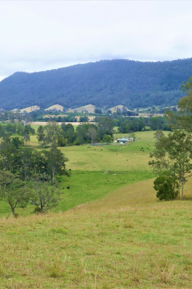 35 Phelps Road Kyogle NSW 2474