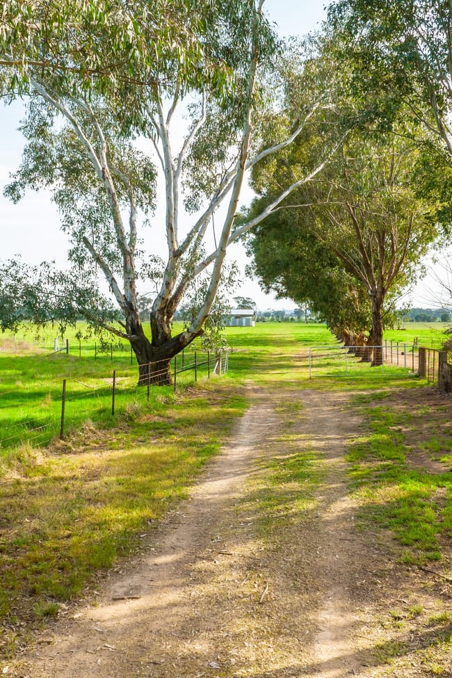 135 Jacka Lane Holbrook NSW 2644