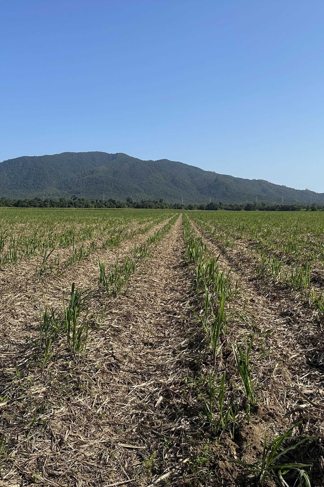 Lot 2 Broderick Road Midgenoo QLD 4854