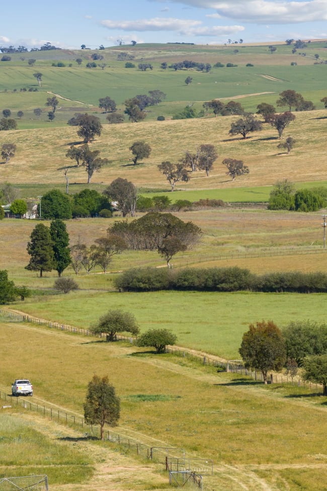 "Anmore" 305 Barwang Road Harden NSW 2587