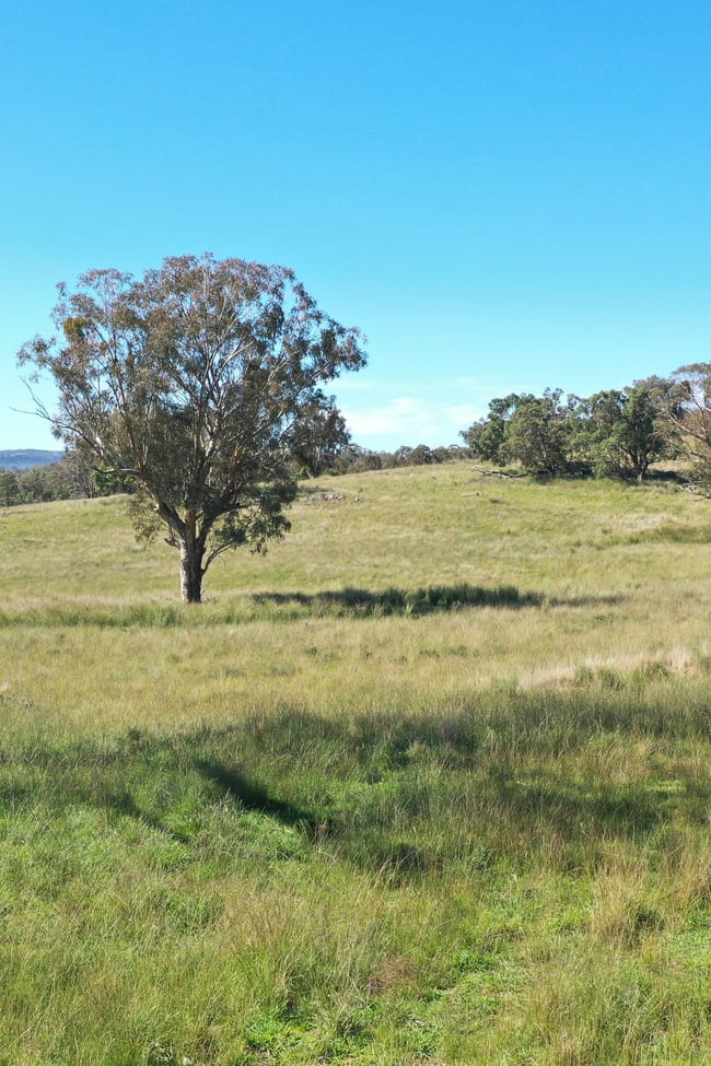 1058 Old Bundarra Road Barraba NSW 2347