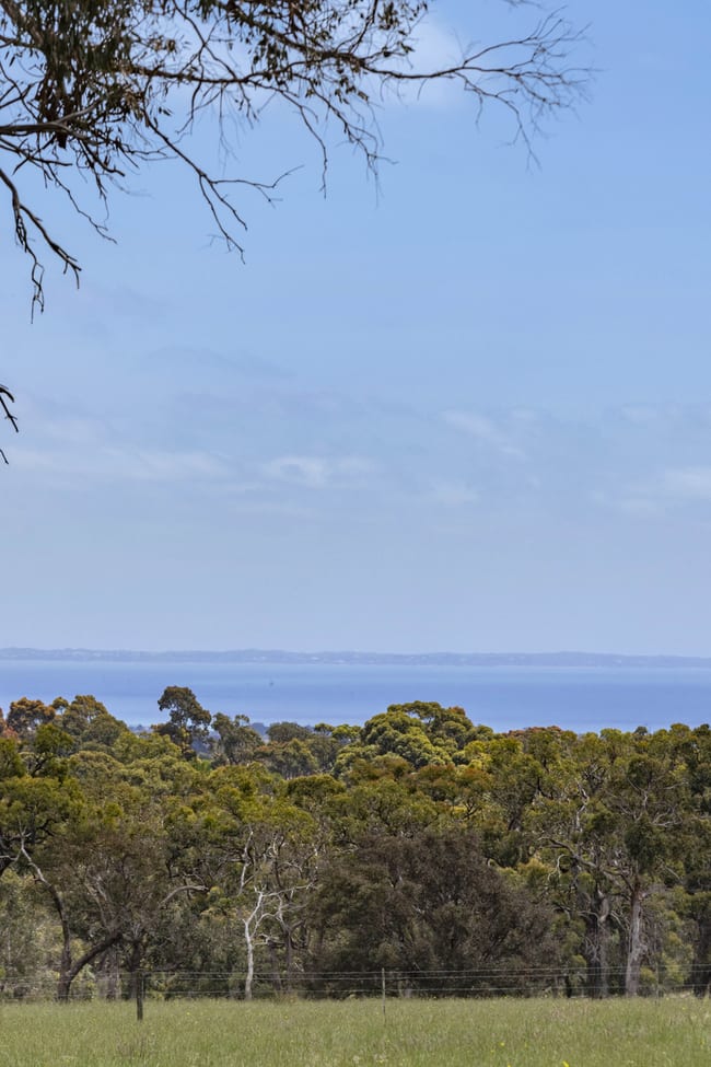 56 Bulldog Creek Road Dromana VIC 3936