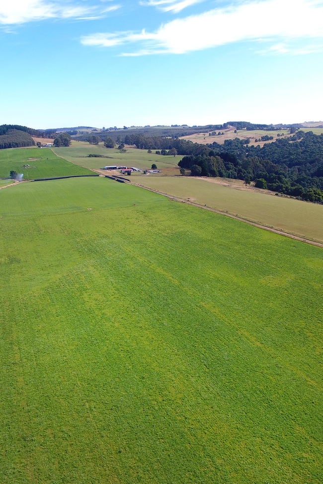 245 Smarts Road Mount Hicks TAS 7325
