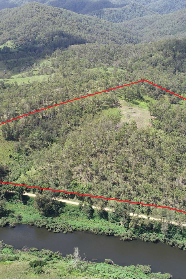 Nowendoc Road Caffreys Flat NSW 2424