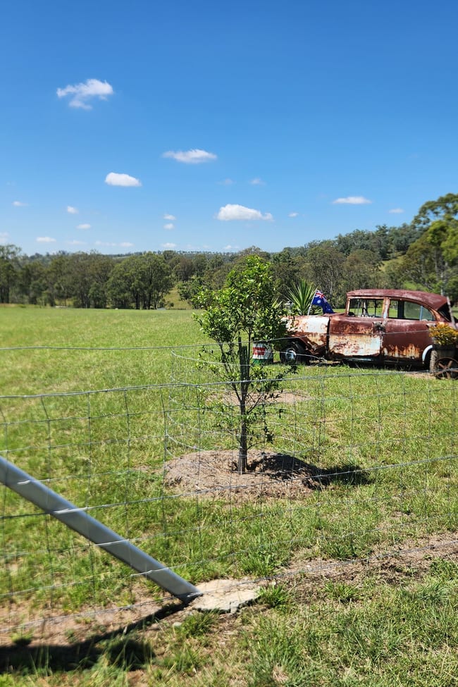 Pauls Parade Ellesmere QLD 4610