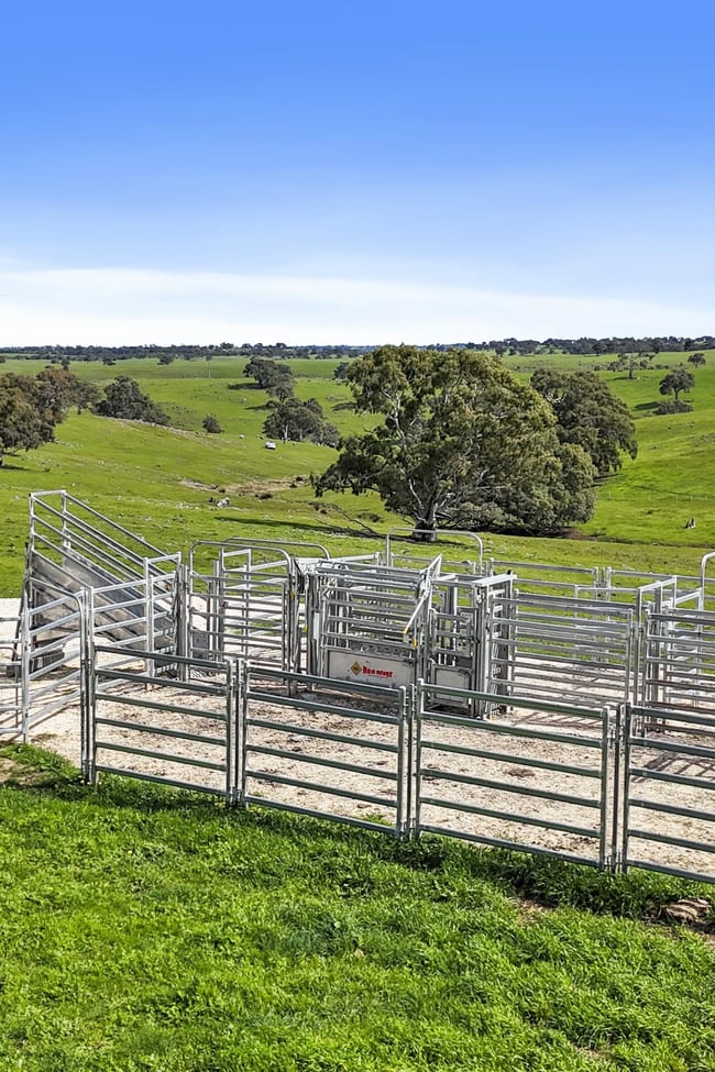 166 Stirling Hill Road Gemmells SA 5255