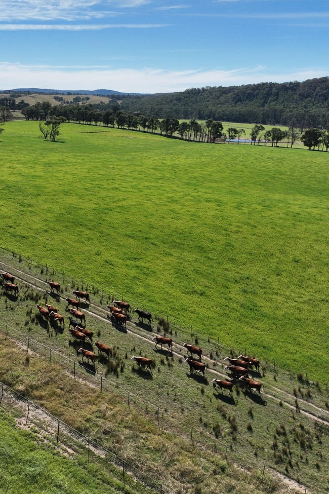 710 Inverary Road Paddys River NSW 2577