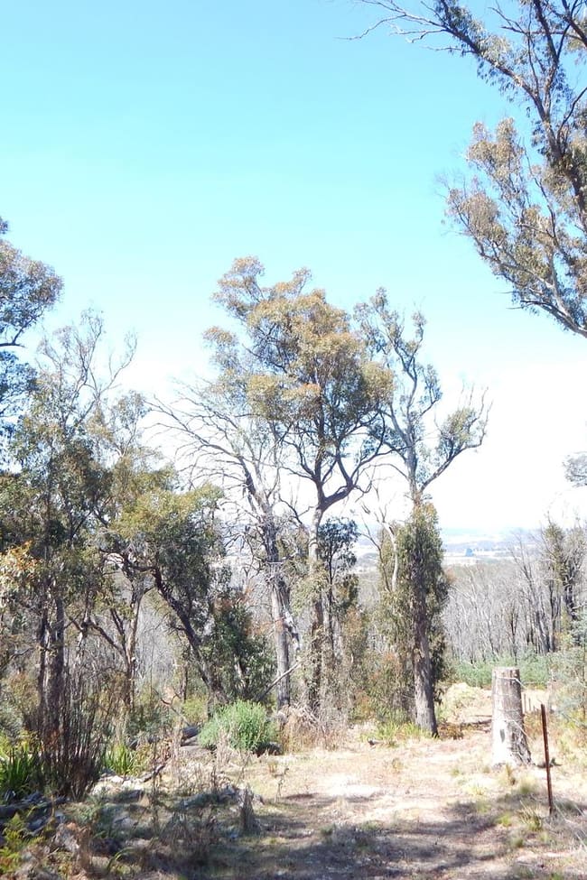 Lot 102 Badja Road Countegany NSW 2630