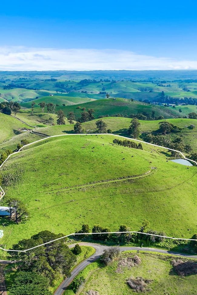 8 Curwen Road Mountain View VIC 3988