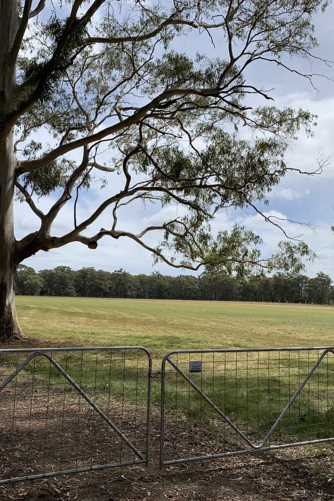 30 Pennyroyal School Road Pennyroyal VIC 3235