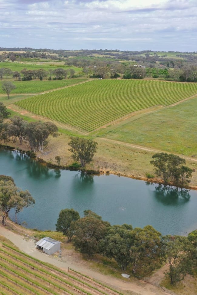 155 Tierneys Road Young NSW 2594