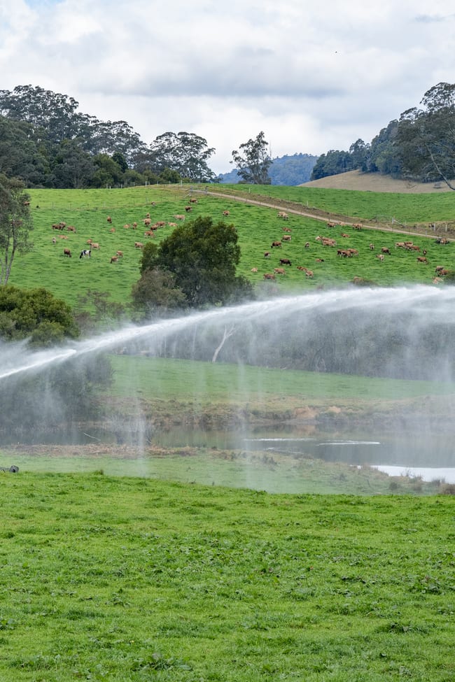 1431 Coramba Road Dorrigo NSW 2453