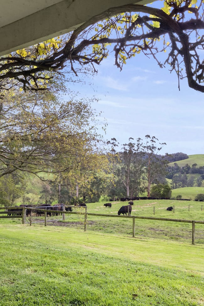 226 Wild Dog Road Strzelecki via Korumburra VIC 3950