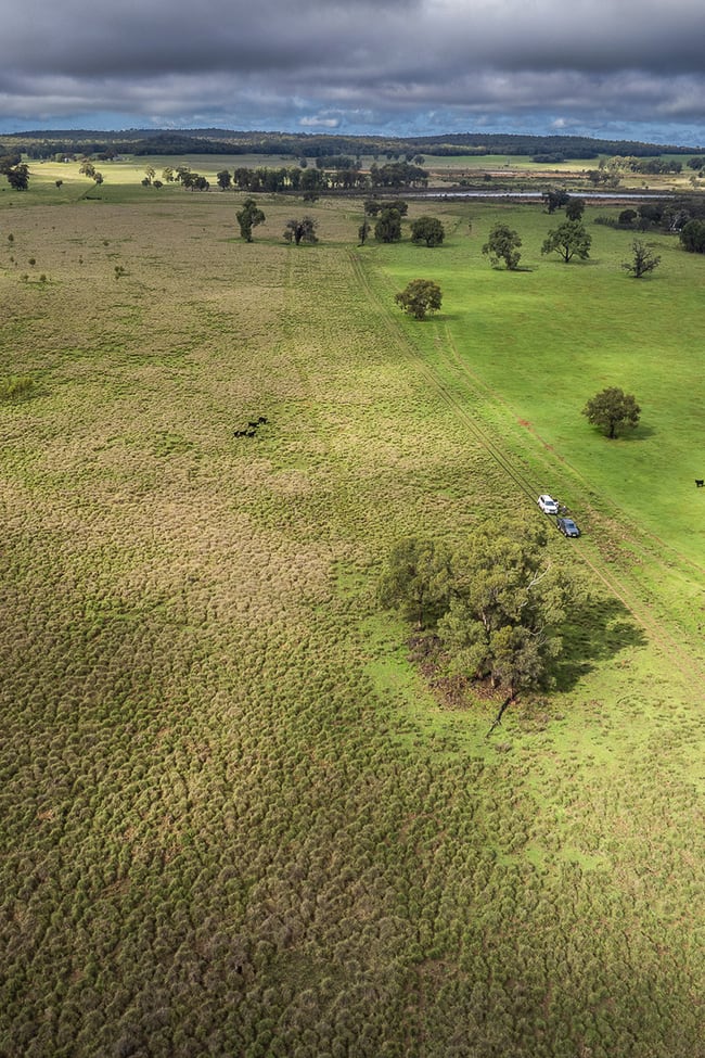 16090 Oxley Highway Coonabarabran NSW 2357