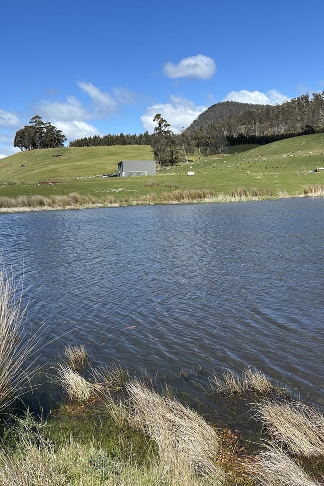 1993 Buckland Road Woodsdale TAS 7120
