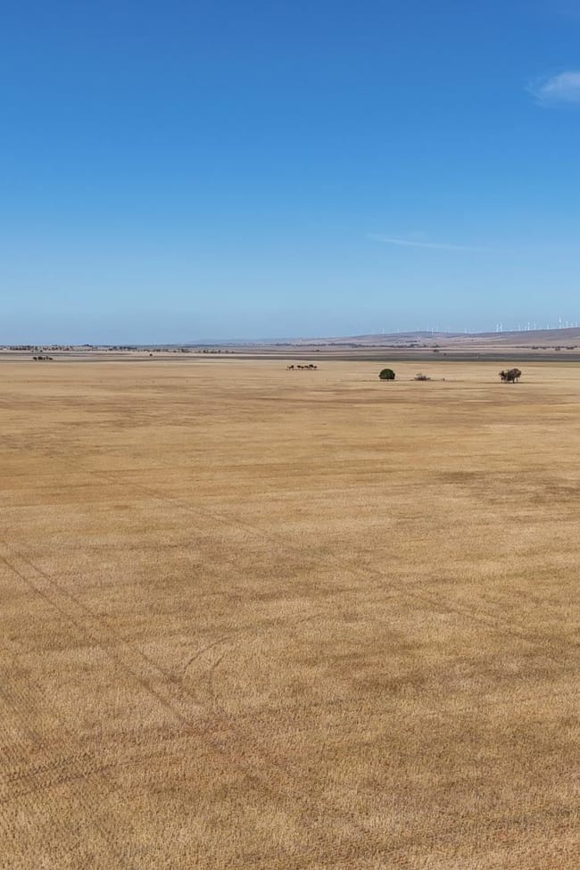 Section 31 Collinsfield Road Koolunga SA 5464