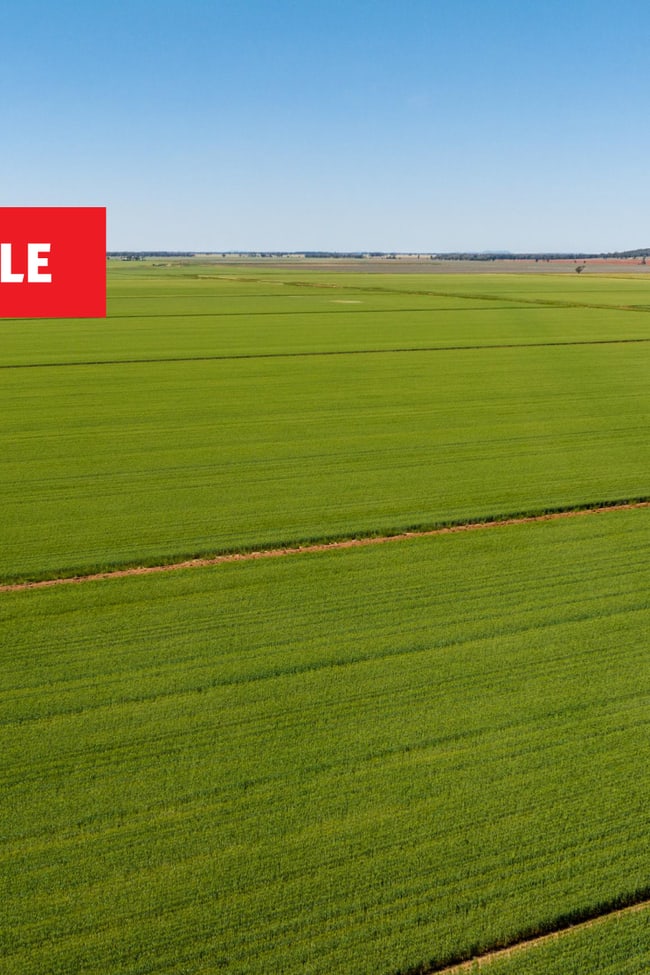 Boundary Road Murrami NSW 2705