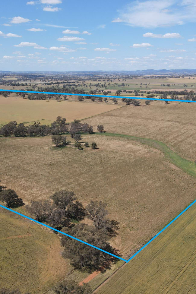 1 Tremains Lane Toogong NSW 2864