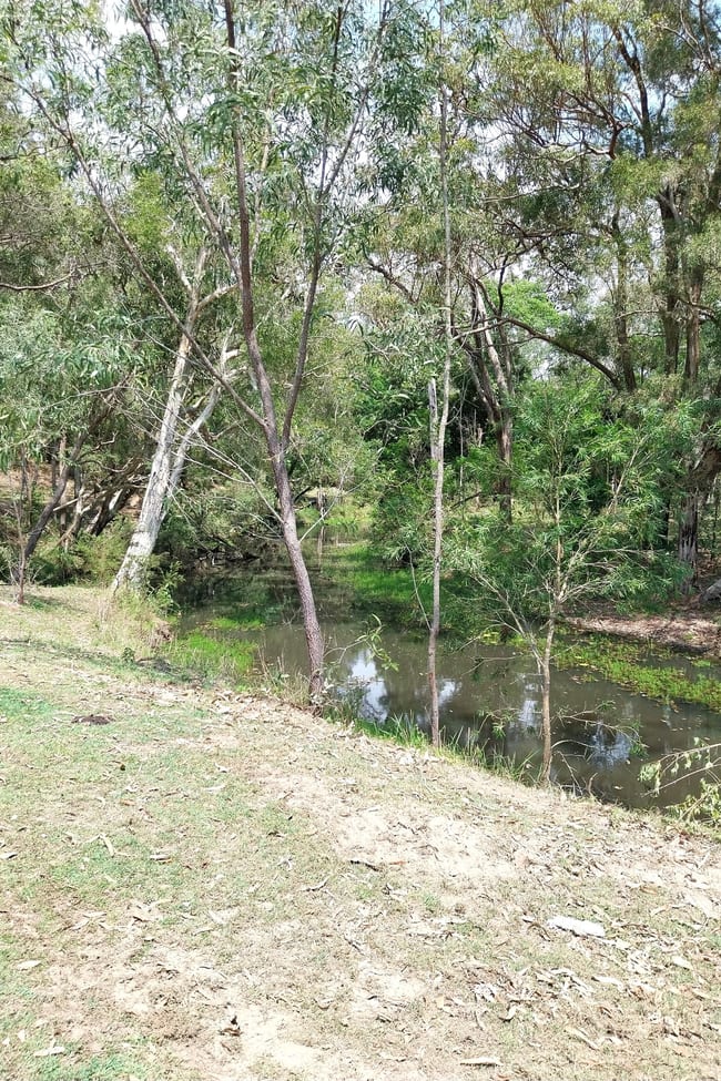 585 Grass Tree Road Nearum QLD 4671