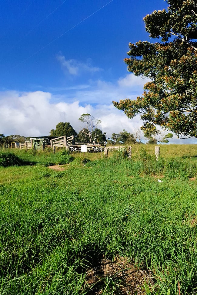 11551 Kennedy Hwy Evelyn QLD 4888