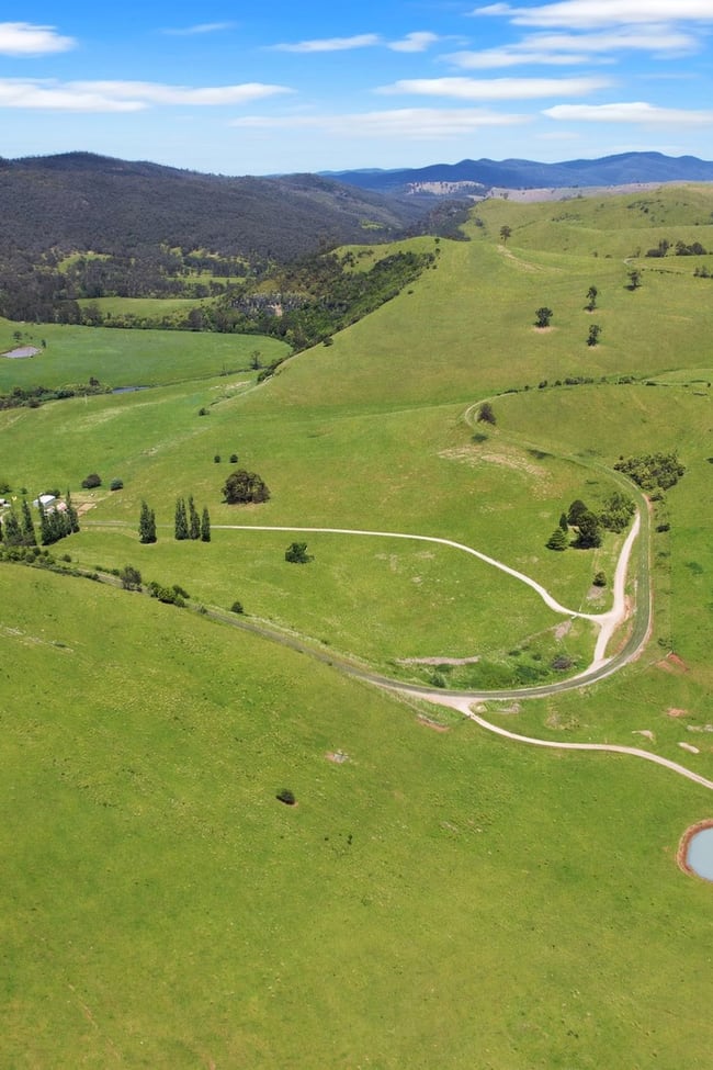 1351 Gelantipy Road Murrindal VIC 3885
