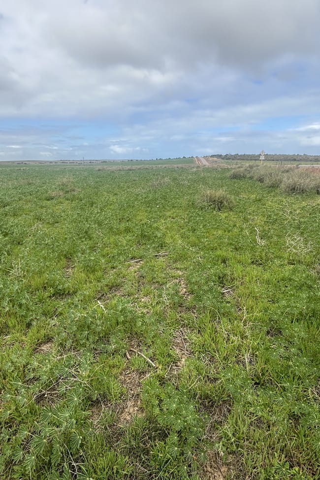 Lot 17 White Cliffs Road Sandy Gully WA 6535