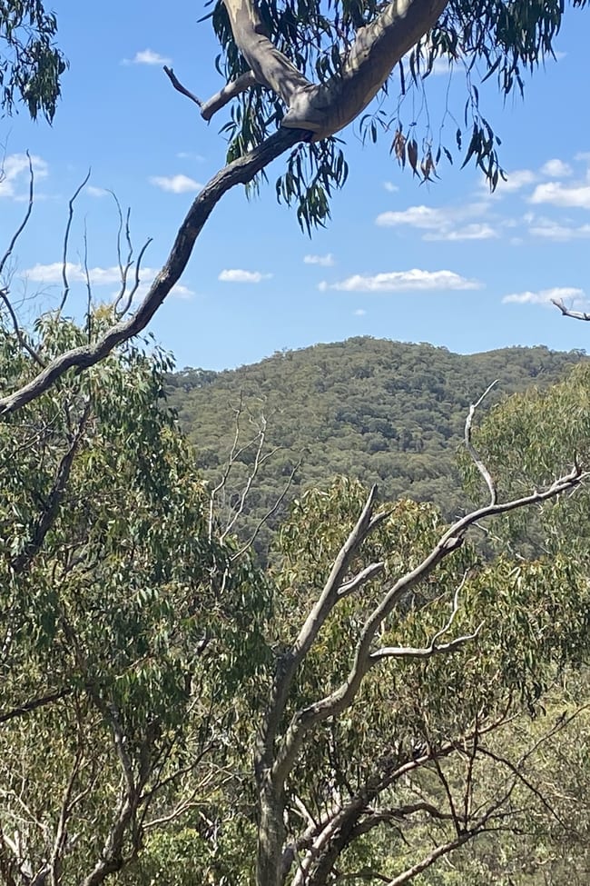 Bald Ridge Road Bald Ridge NSW 2795