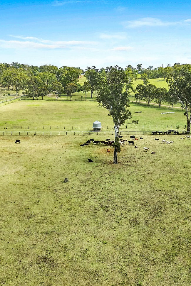 8667 New England Highway Muswellbrook NSW 2333