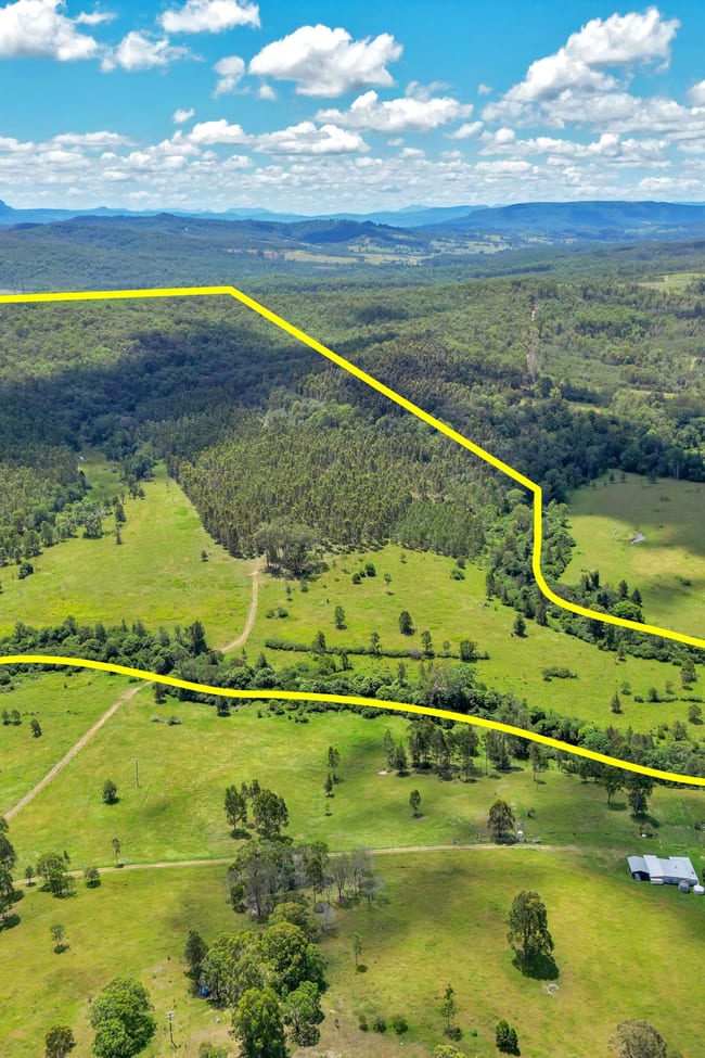 624 Tabulam Road Lower Bottle Creek NSW 2469