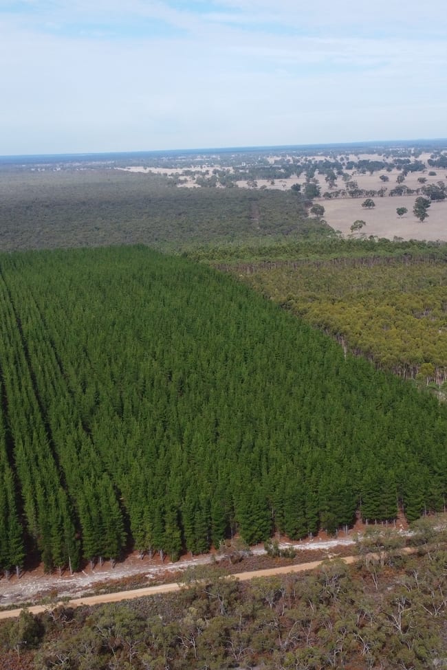 Lot 1 Jim Ryans Road Edenhope VIC 3318 Lot 1 Jim Ryans Road Edenhope VIC 3318