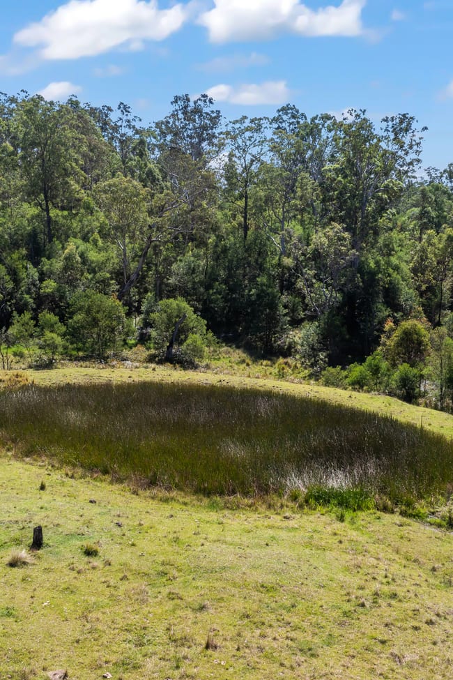 97 Long Gully Road Drake NSW 2469