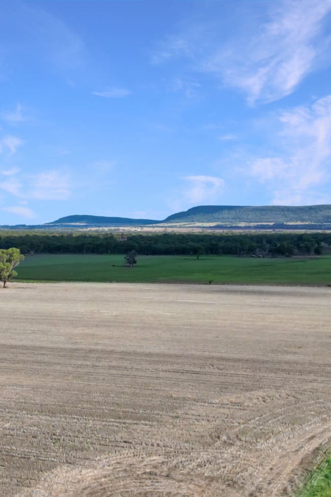 8354 Kamilaroi Highway Curlewis NSW 2381