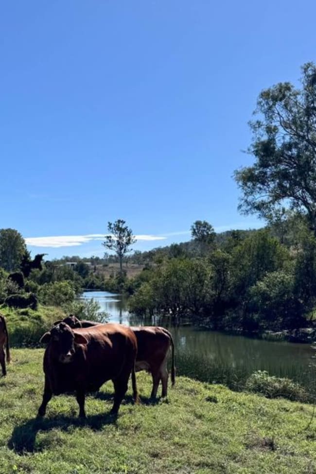 479 Bular Road Kilkivan QLD 4600