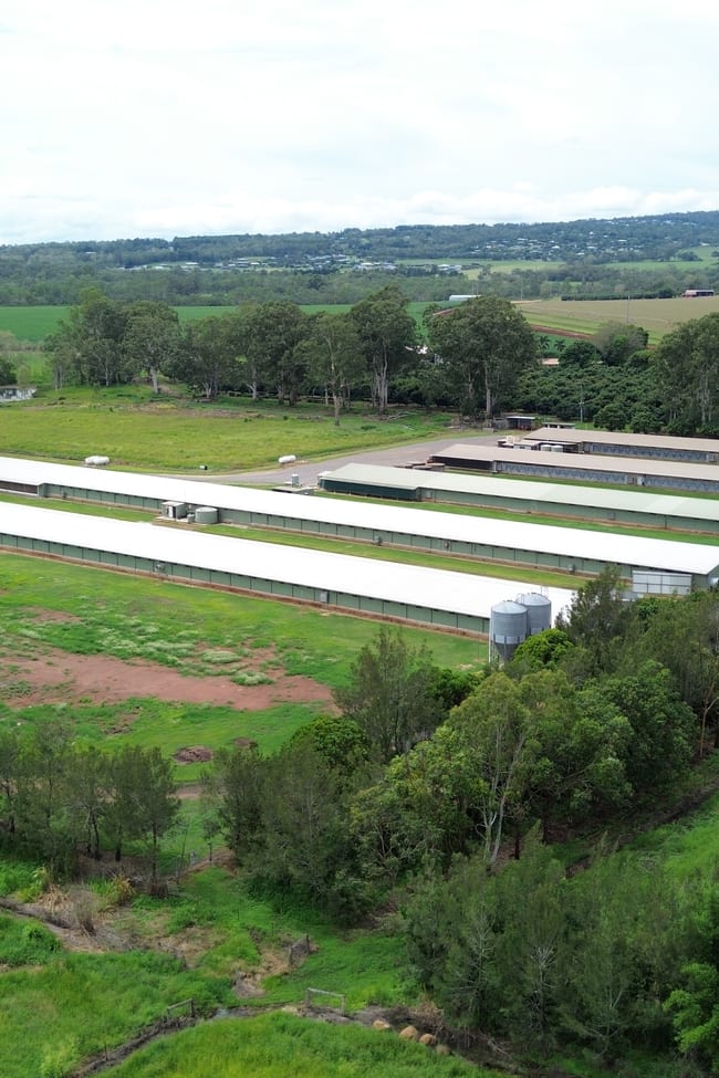 Tolga QLD 4882