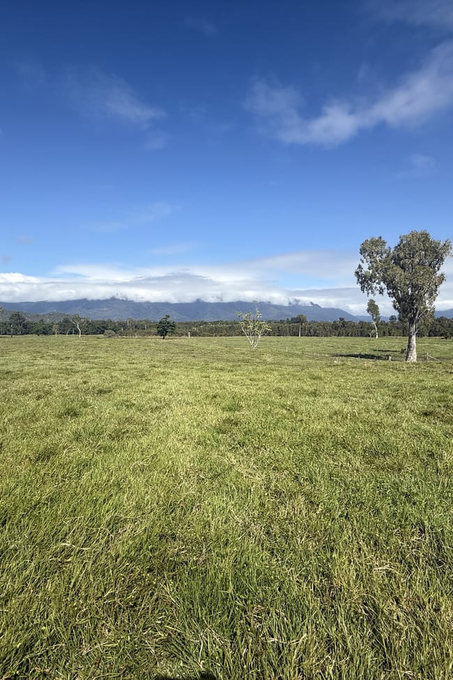 Ellerbeck QLD 4816