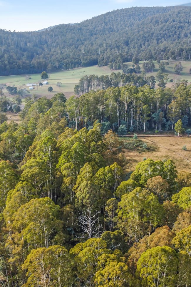 Lot 1 Echo Valley Road Liena TAS 7304