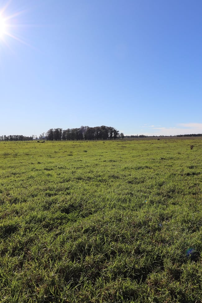 Lot/2 Austral Eden Inner Road Austral Eden NSW 2440
