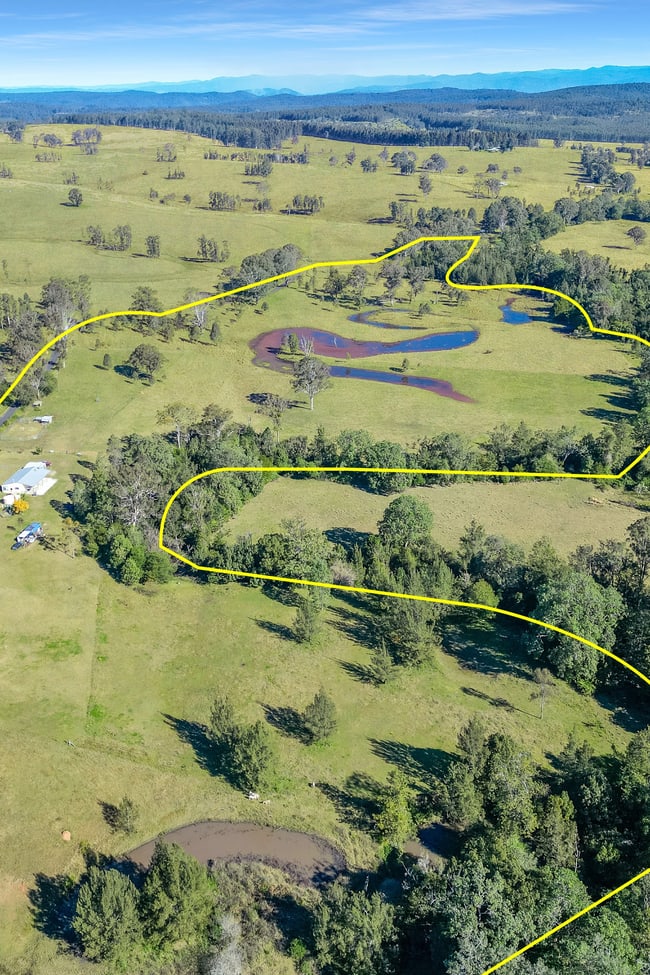 161 Tabulam Road Lower Bottle Creek NSW 2469