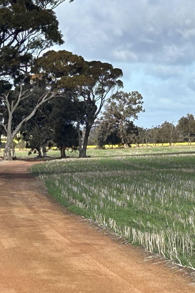 . "Red Hill", Bagnalls Road Dumbleyung WA 6350