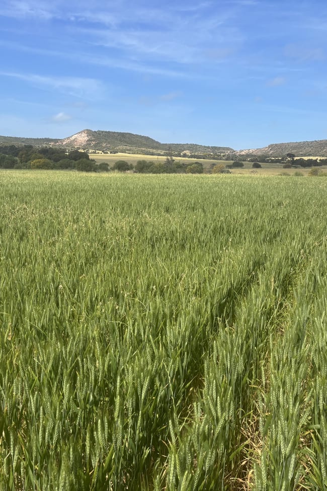Lot 72 Oakajee Road Howatharra WA 6532