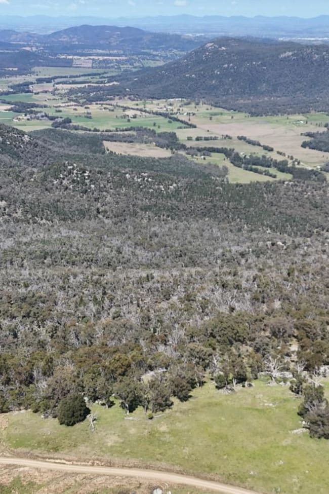Green Hills New England Gully Road Moonbi NSW 2353 Green Hills New England Gully Road Moonbi NSW 2353